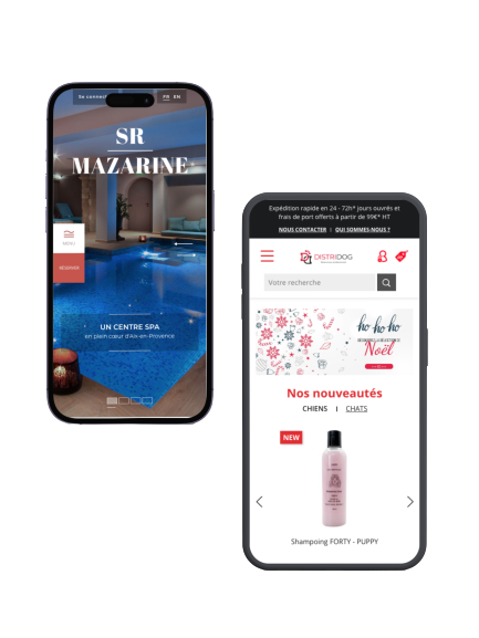 Design web - Responsive Mobile