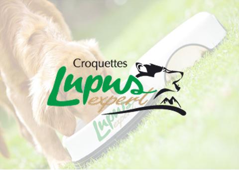 Lupus Expert
