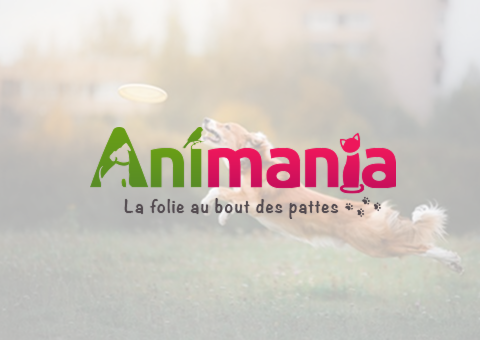 Animania